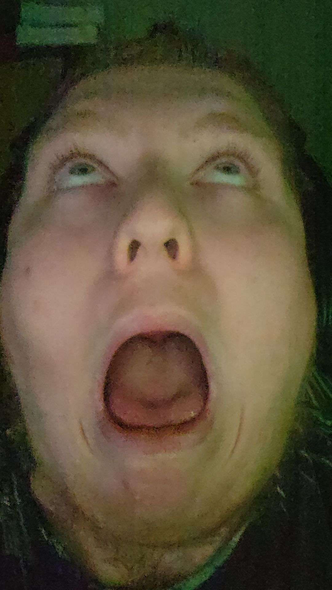 Bucek
